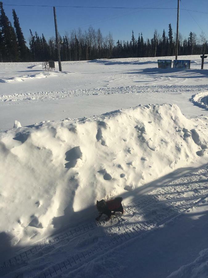 Villa Fireweed Roadhouse Nenana Exterior foto